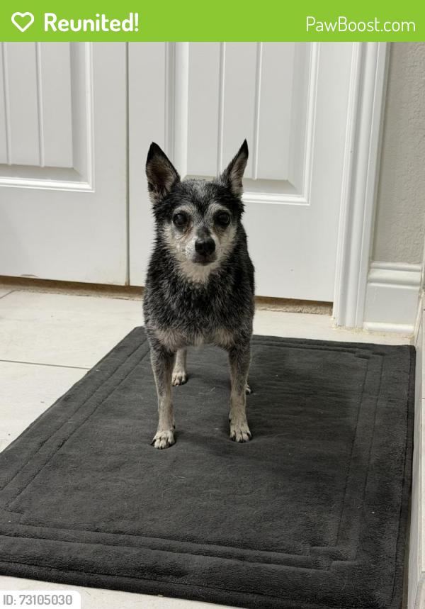 Reunited Male Dog last seen Kitzman Rd, Houston, TX 77429