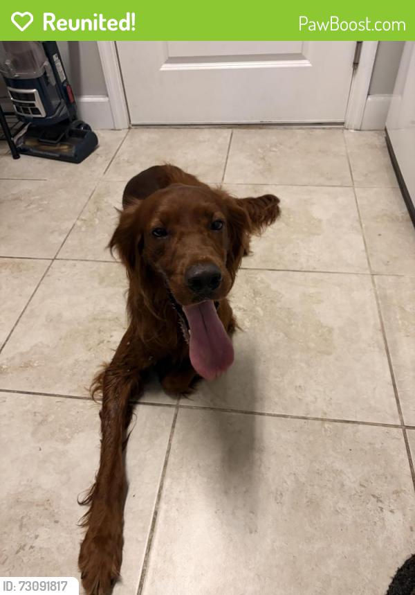 Reunited Male Dog last seen Lake Butler, FL, Union County, FL 32054