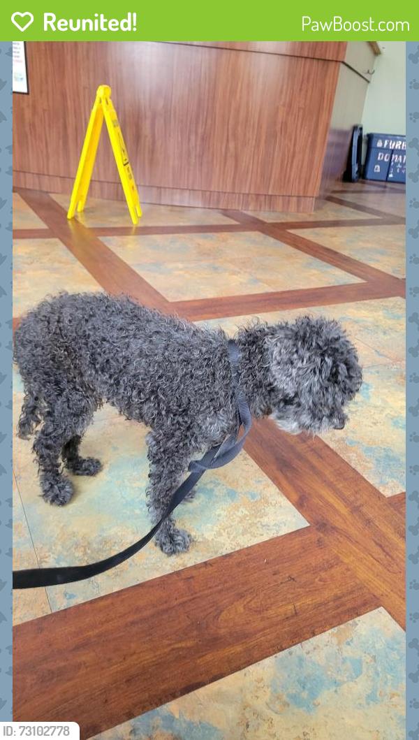 Reunited Male Dog last seen Vinings Vintage Cir, Mableton, GA 30126