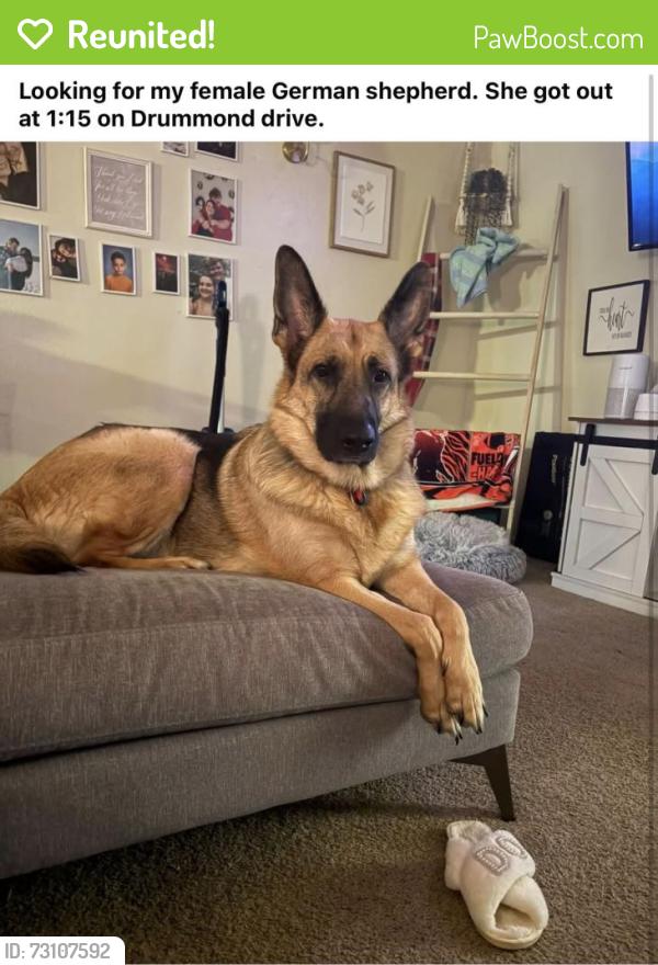 Reunited Female Dog last seen Drummond Dr, Xenia, OH 45385