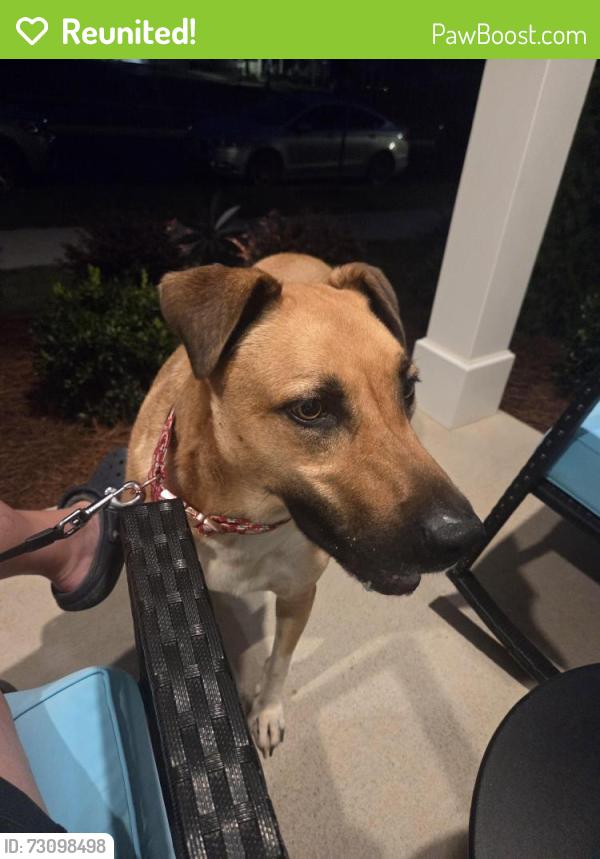 Reunited Male Dog last seen Blue Iris & Cottontail, Clayton, NC 27520