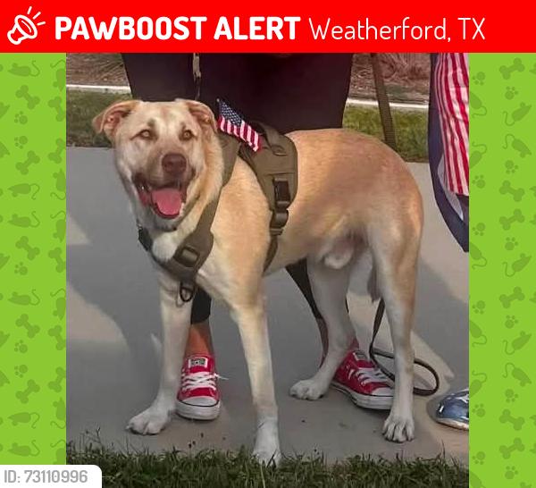 Lost Male Dog last seen Santa Fe & Hwy 180, Weatherford, TX 76086