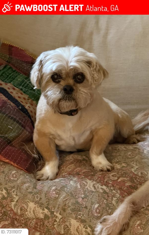 Lost Female Dog last seen Dekalb Ave, Atlanta, GA 30307