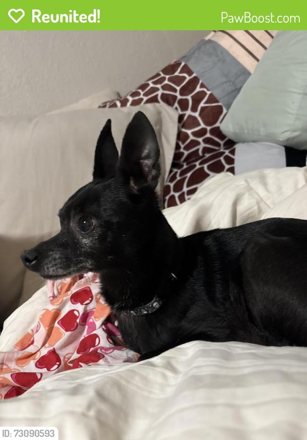 Reunited Male Dog last seen Cranbrook and Blackberry, Arlington, TX 76016