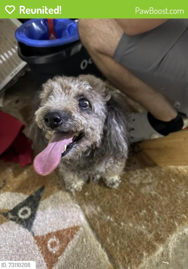 Reunited Female Dog last seen NW 122nd & N Western, Oklahoma City, OK 73114