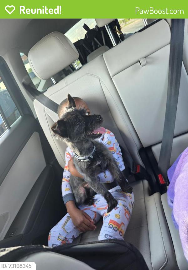Reunited Male Dog last seen 76th and mill road, Milwaukee, WI 53223