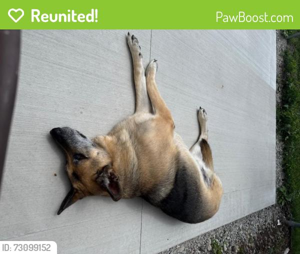 Reunited Male Dog last seen Xavier High School, Appleton, WI 54914