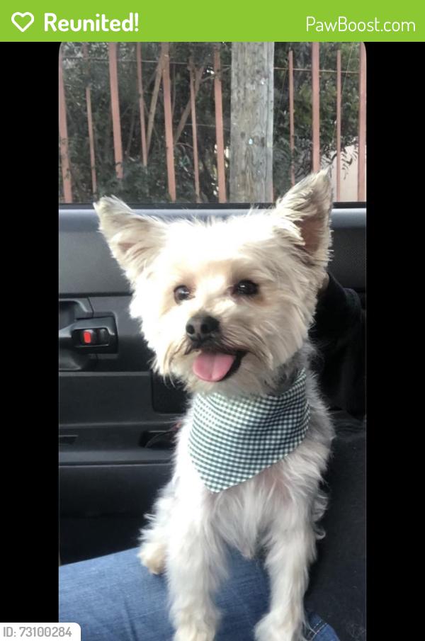 Reunited Male Dog last seen Jurupa, Riverside, CA 92504