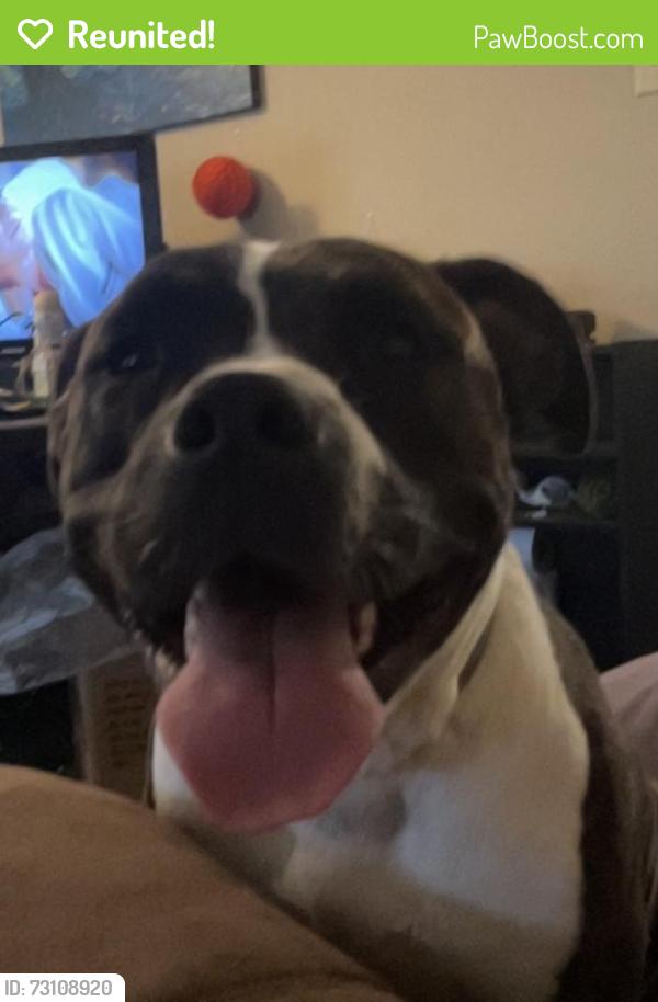 Reunited Female Dog last seen Lakefront and lake crystal, San Antonio, TX 78222