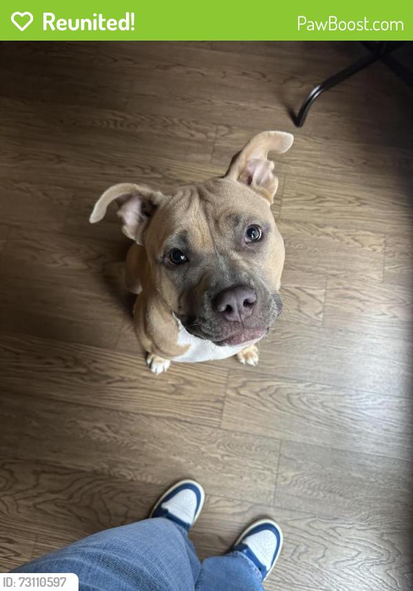 Reunited Female Dog last seen Gardner Park Dr / Fisher Rd, Fayetteville NC, Fayetteville, NC 28306