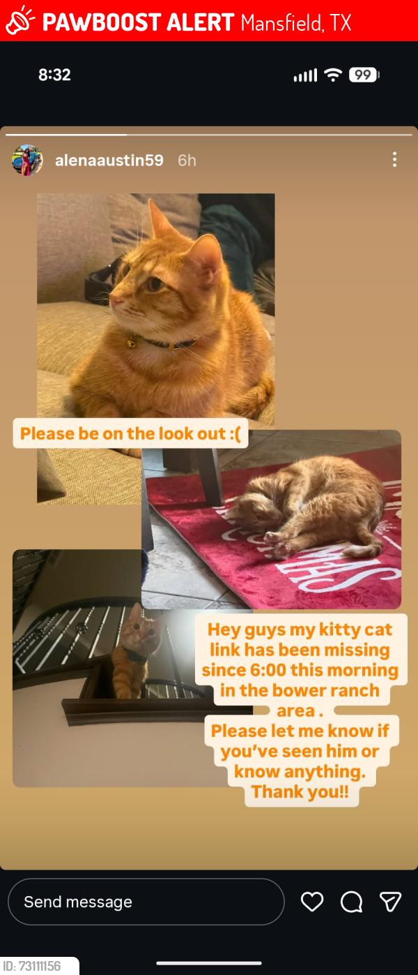 Lost Male Cat last seen Ellsworth maybe he's in the same area, Mansfield, TX 76063