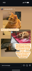 Lost Male Cat last seen Ellsworth maybe he's in the same area, Mansfield, TX 76063