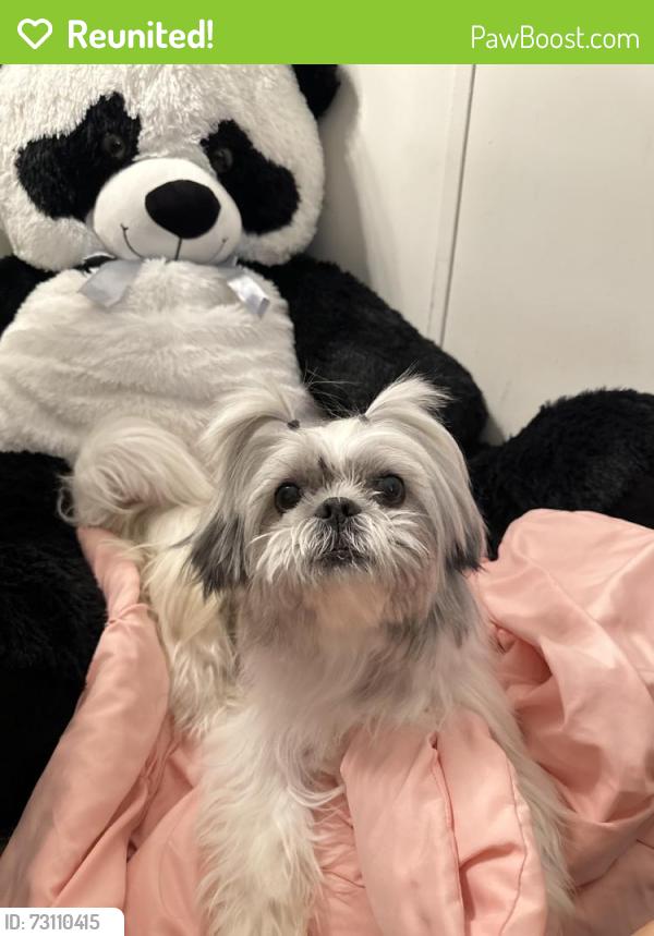 Reunited Female Dog last seen Near Altidore Dr, Austin, TX 78744, USA, Austin, TX 78744