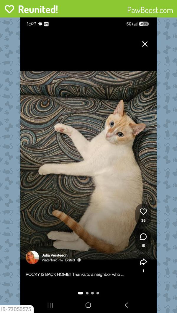 Reunited Male Cat last seen Circle 75 and Herodian Way/Cobb Pkwy, Smyrna, GA 30080
