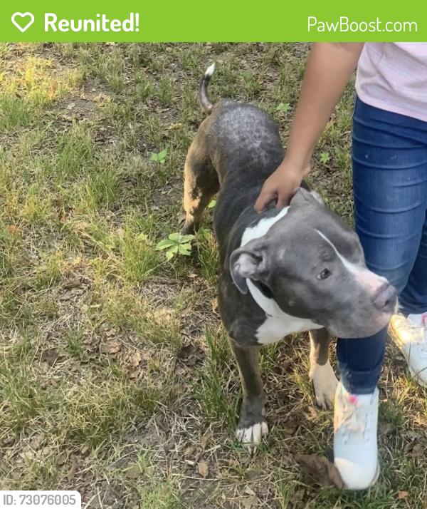 Reunited Female Dog last seen Fosters ferry rd, Tuscaloosa, AL 35401
