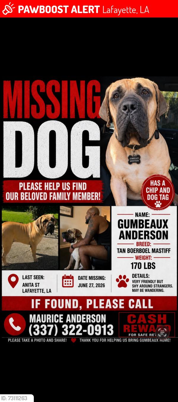 Lost Male Dog last seen Anita st and willow, Lafayette, LA 70501