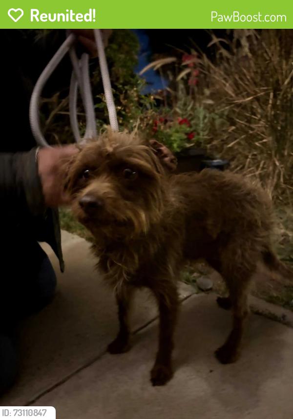 Reunited Male Dog last seen 189th st and Falda ave, Torrance, CA 90504