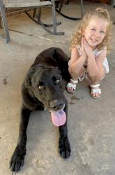 Reunited Male Dog last seen St Matthias Dr, Braquet Rd, Cormier Rd, Carencro, LA 70520