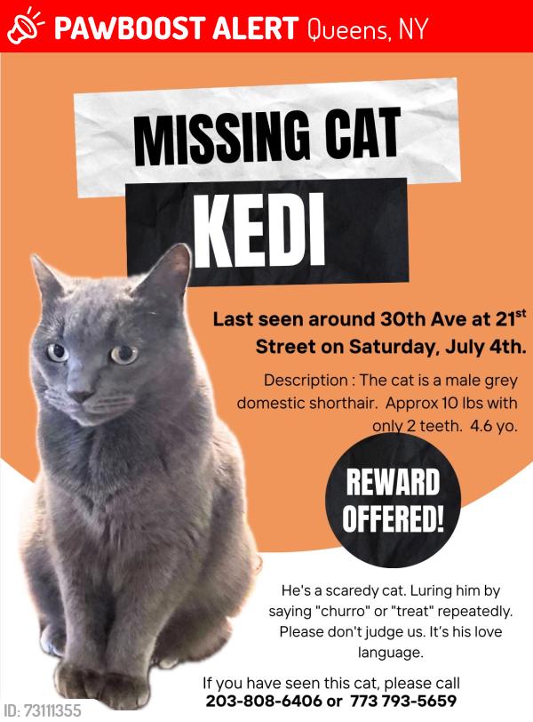 Lost Male Cat last seen Astoria ferry stop, Queens, NY 11102