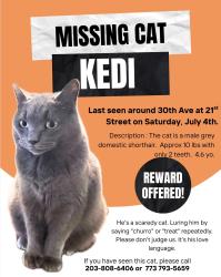 Lost Male Cat last seen Astoria ferry stop, Queens, NY 11102