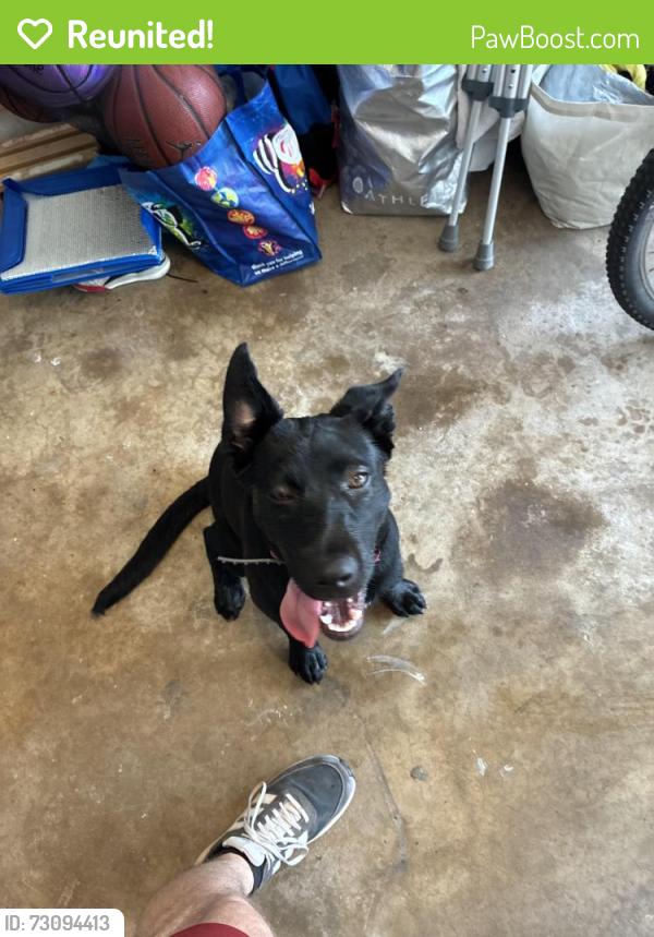 Reunited Unknown Dog last seen Gwynedd and Wissahickon, Penllyn, PA 19422