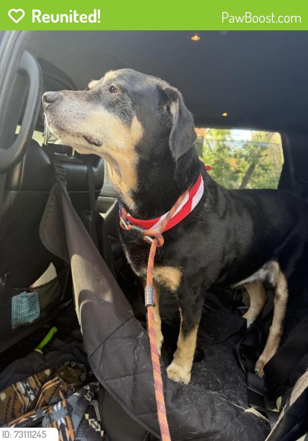 Reunited Male Dog last seen 76th and bradburn, Westminster, CO 80030