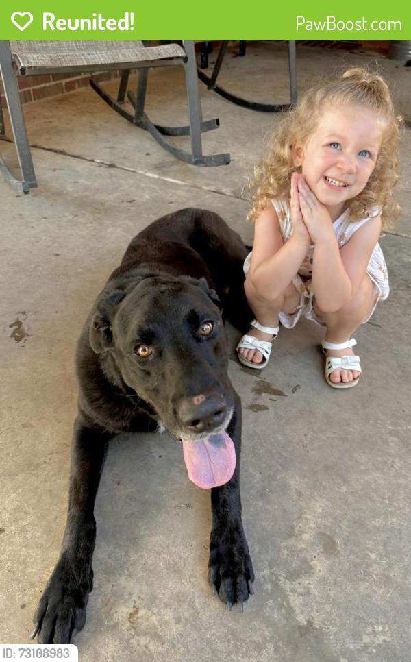 Reunited Male Dog last seen St Matthias Dr, Braquet Rd, Cormier Rd, Carencro, LA 70520