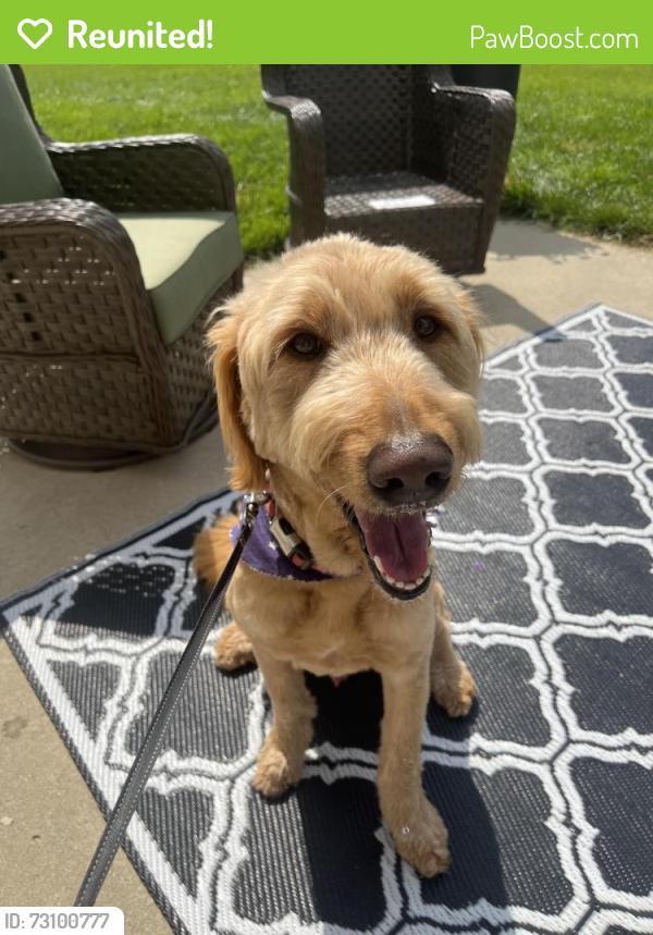 Reunited Unknown Dog last seen Lakeland Trails Neighborhood, Indianapolis, IN 46259