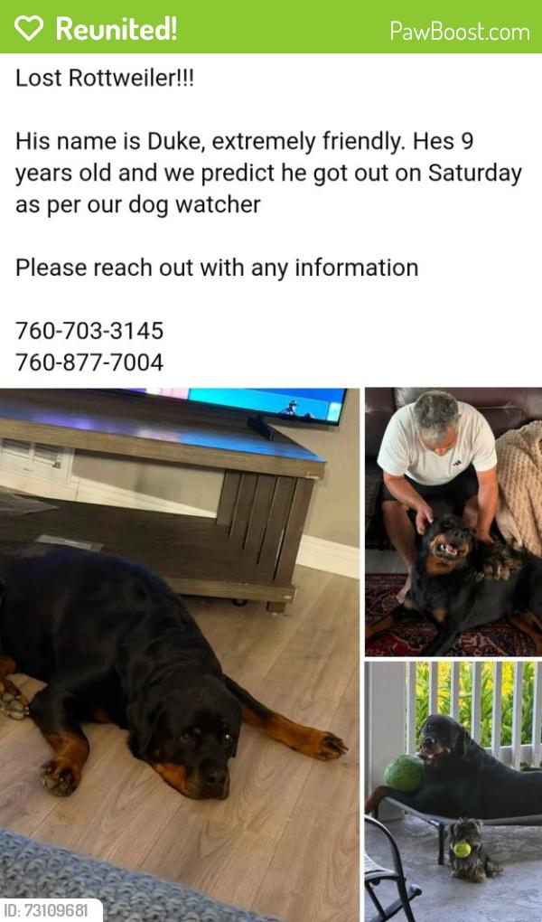 Reunited Male Dog last seen ElDorado Drive and Bear Valley Pkwy, San Diego County, CA 92025