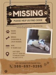Lost Male Dog last seen Titanium and Legion, Columbia County, FL 32024