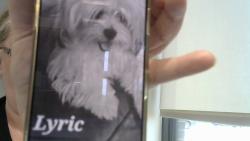 Lost Female Dog last seen Near, Sharpsburg, GA 30277