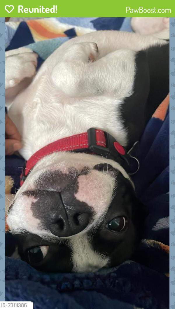 Reunited Male Dog last seen Near Compton Road, Cincinnati, OH 45231