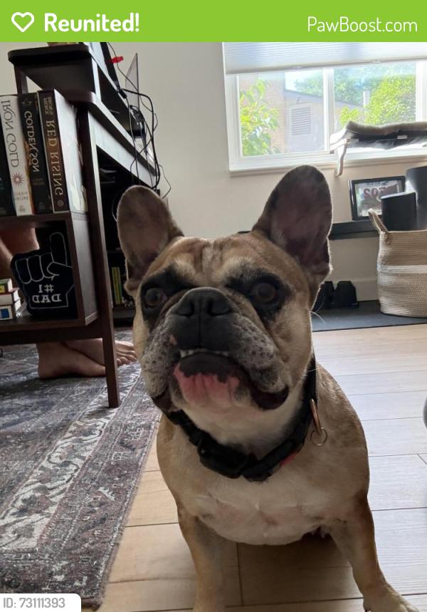 Reunited Unknown Dog last seen Leawood Cir, Littleton, CO 80123