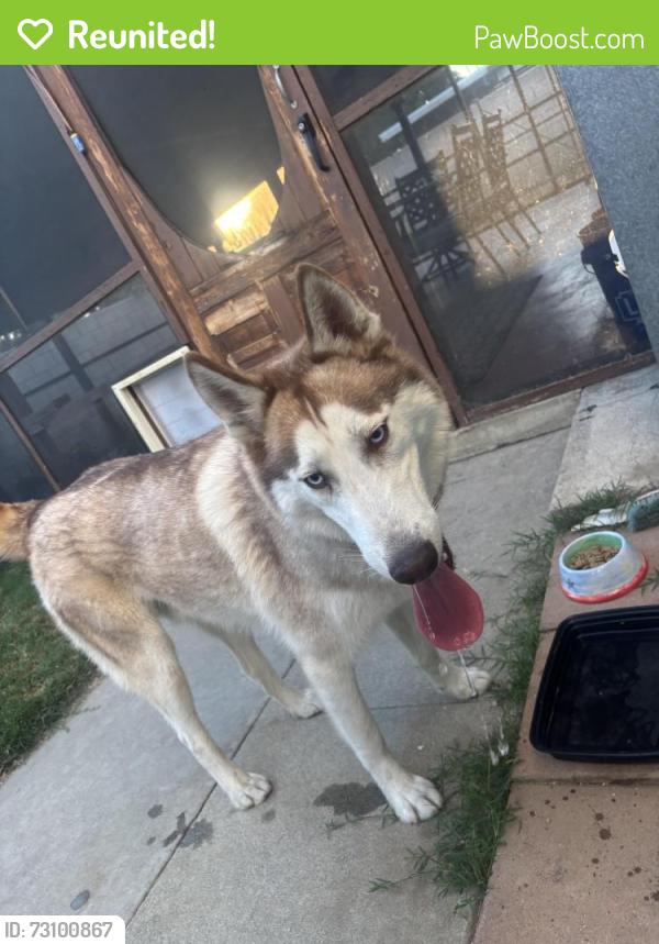 Reunited Male Dog last seen Ramona Highschool, Riverside, CA 92504