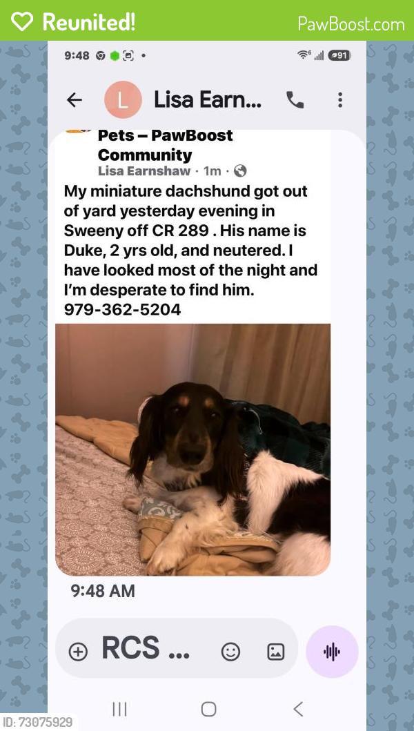 Reunited Male Dog last seen CR289, Sweeny, TX 77480