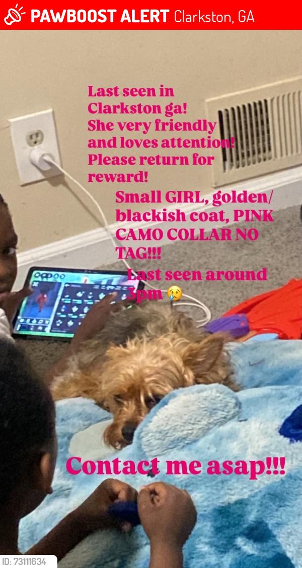 Lost Female Dog last seen Flourish parks, Clarkston, GA 30021