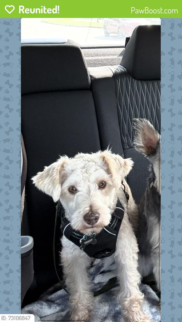 Reunited Male Dog last seen Lifetime Fitness Garland, TX, Garland, TX 75044