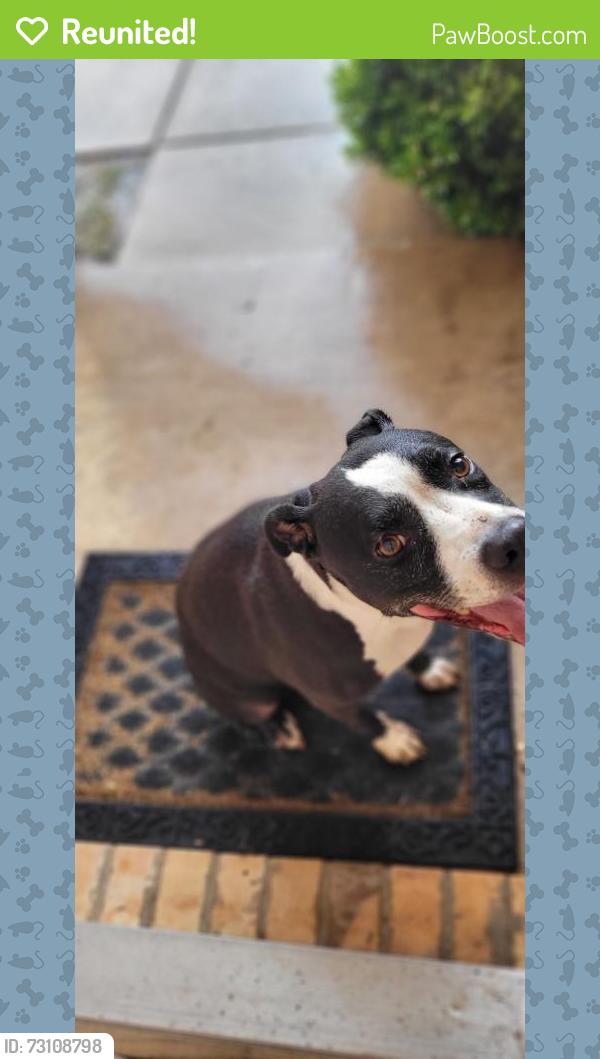 Reunited Unknown Dog last seen Buttonwillow and Trail Lake, Fort Worth, TX 76123