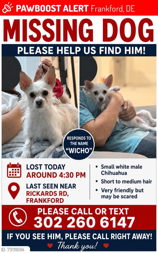 Lost Male Dog last seen Rickards Rd, Frankford De 19945, Frankford, DE 19945