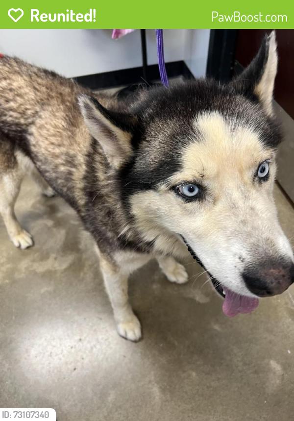 Reunited Male Dog last seen Near NW Expressway, Oklahoma City, OK 73132