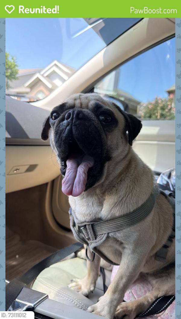 Reunited Male Dog last seen Near SE 46th St, Oklahoma City, OK 73129, USA, Oklahoma City, OK 73129