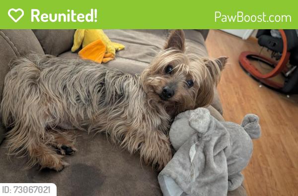 Reunited Male Dog last seen Votaw Rd and Lake Pleasant Rd, Apopka, FL 32703