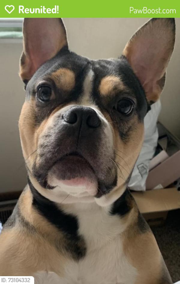 Reunited Female Dog last seen Smiths Rd, Columbus, OH 43206