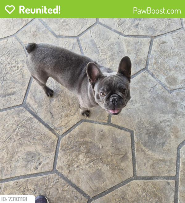 Reunited Male Dog last seen Champion Creek, Bexar County, TX 78252