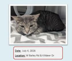Reunited Unknown Cat last seen Maplebrook 2 on Bailey Road and Killdeer, Naperville, IL 60565