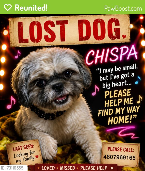 Reunited Female Dog last seen S. Barkley, Mesa, AZ 85204