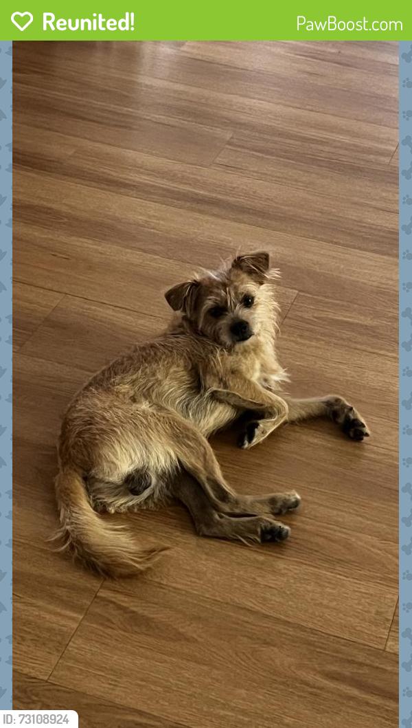 Reunited Male Dog last seen Near s 2nd st San Jose, San Jose, CA 95112