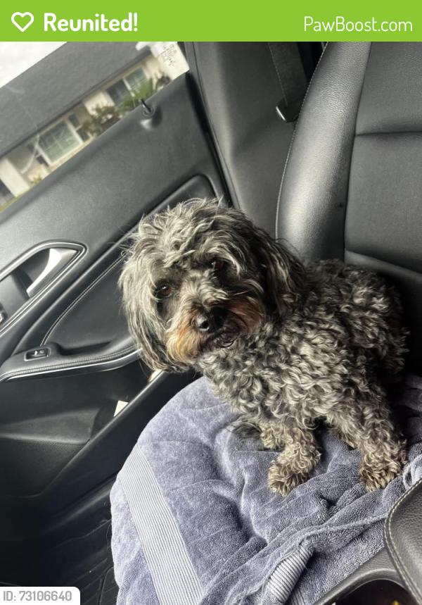 Reunited Female Dog last seen Taylor and Citrus, Corona, CA 92882