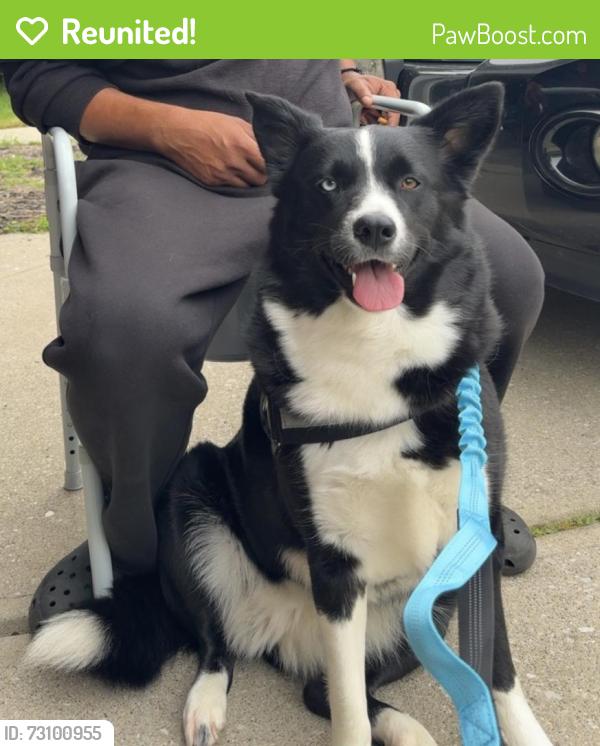Reunited Female Dog last seen Country Club Rd & 21st St Indianapolis, IN, Indianapolis, IN 46234