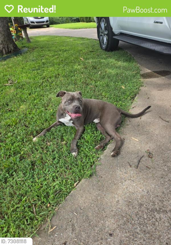Reunited Male Dog last seen S 58th W Ave, Tulsa, OK 74137